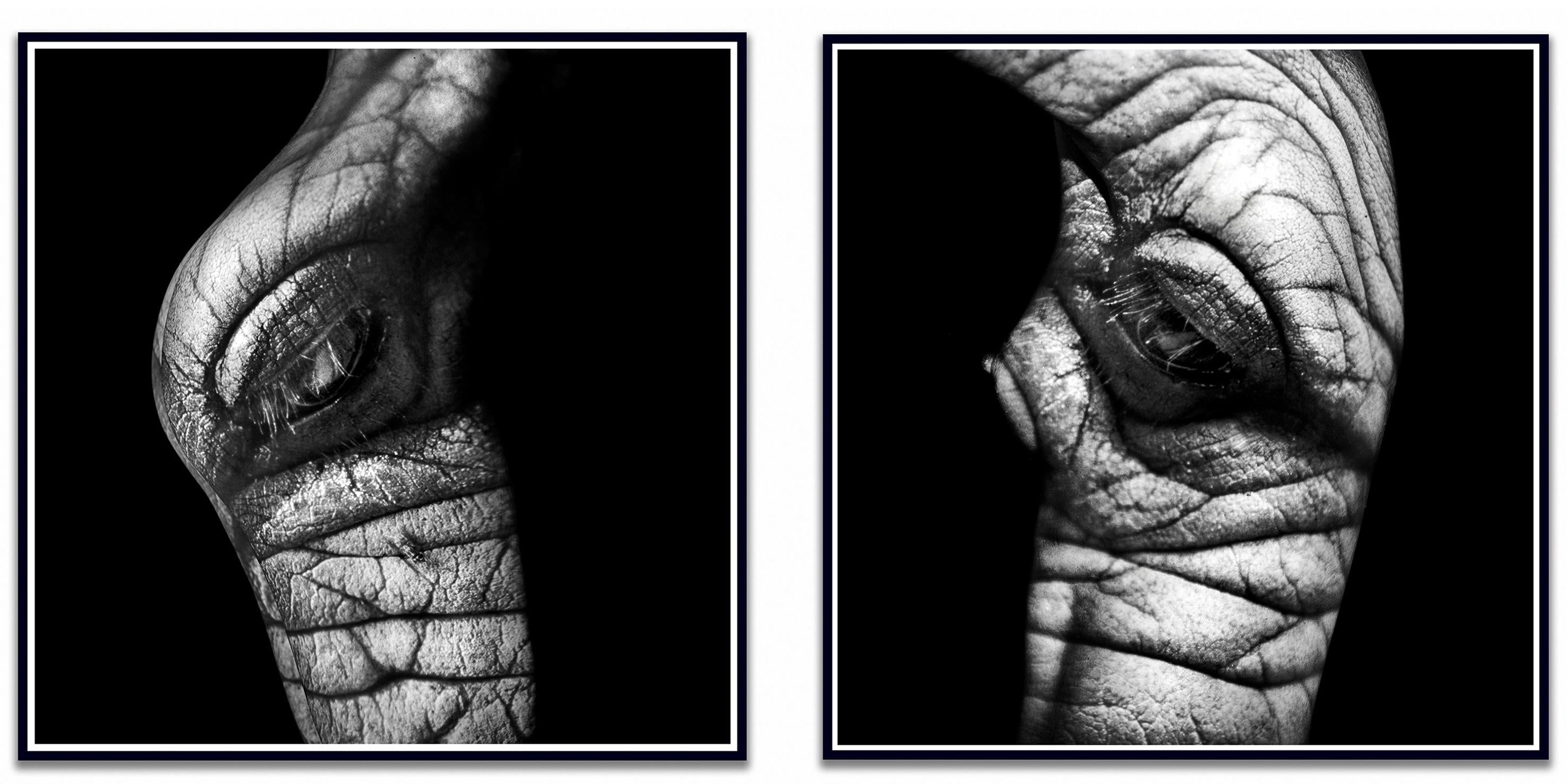 "WA23AB Diptych" Fotografia 40" x 40" in edizione limitata 3/10 di Giuliano Bekor

Serie Wild Above.
Titolo dell'opera WA23AB Dittico
Anno: 2012
Mezzo di comunicazione: Fotografia
Dimensioni di stampa: 40x40 pollici con taglio al vivo
Rarità: