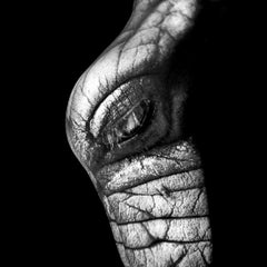 "WA23AB Diptychon" Fotografie 40" x 40" in Auflage 3/10 von Giuliano Bekor