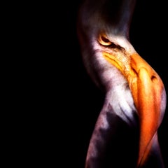 "WA25AB Diptych" Photography 40" x 40" in Edition of 10 by Giuliano Bekor