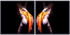 "WA25AB Diptych" Photography 40" x 40" in Edition of 10 by Giuliano Bekor