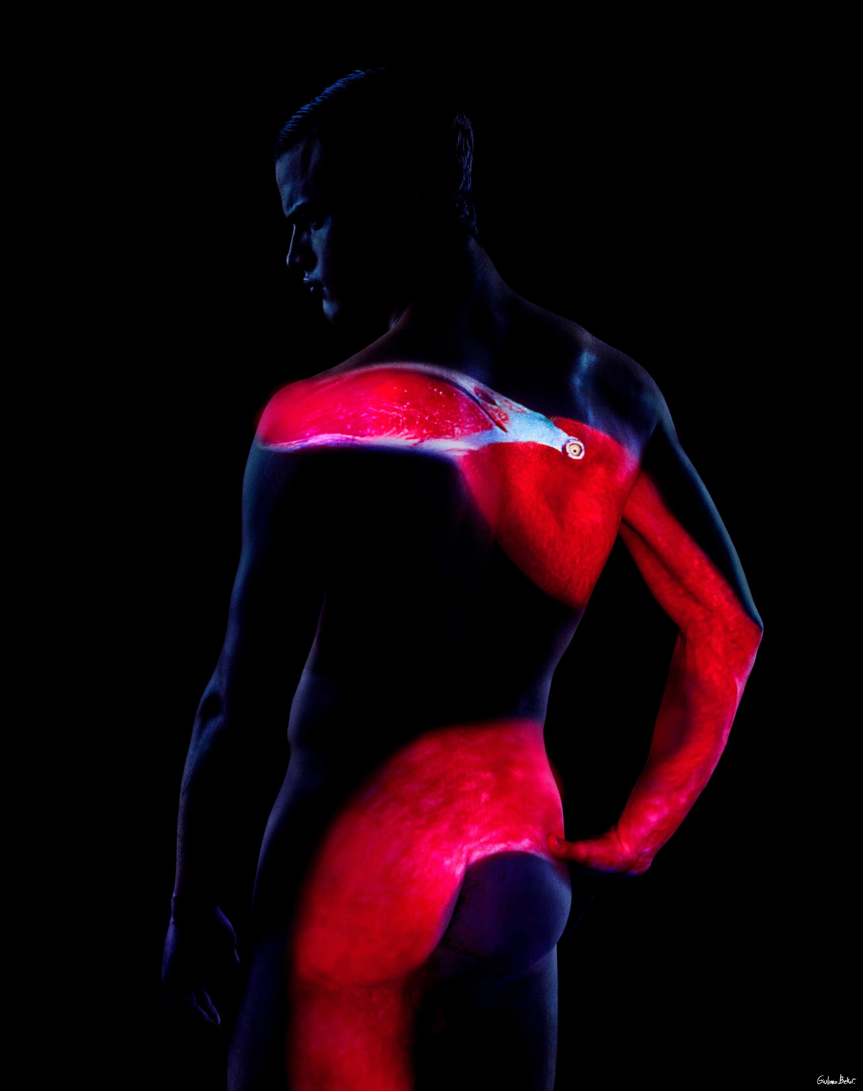 "WA66" Photographie abstraite de nu 50" x 40" en édition de 10 par Giuliano Bekor

Série Wild Above.
Titre de l
œuvre WA66
Année : 2012
Médium : Photographie
Taille d
impression : 50x40 pouces à fond perdu
Rareté : Edition limitée à 10