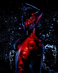 Photographie "WB35" 50" x 40" pouces Édition de 10 par Giuliano Bekor
