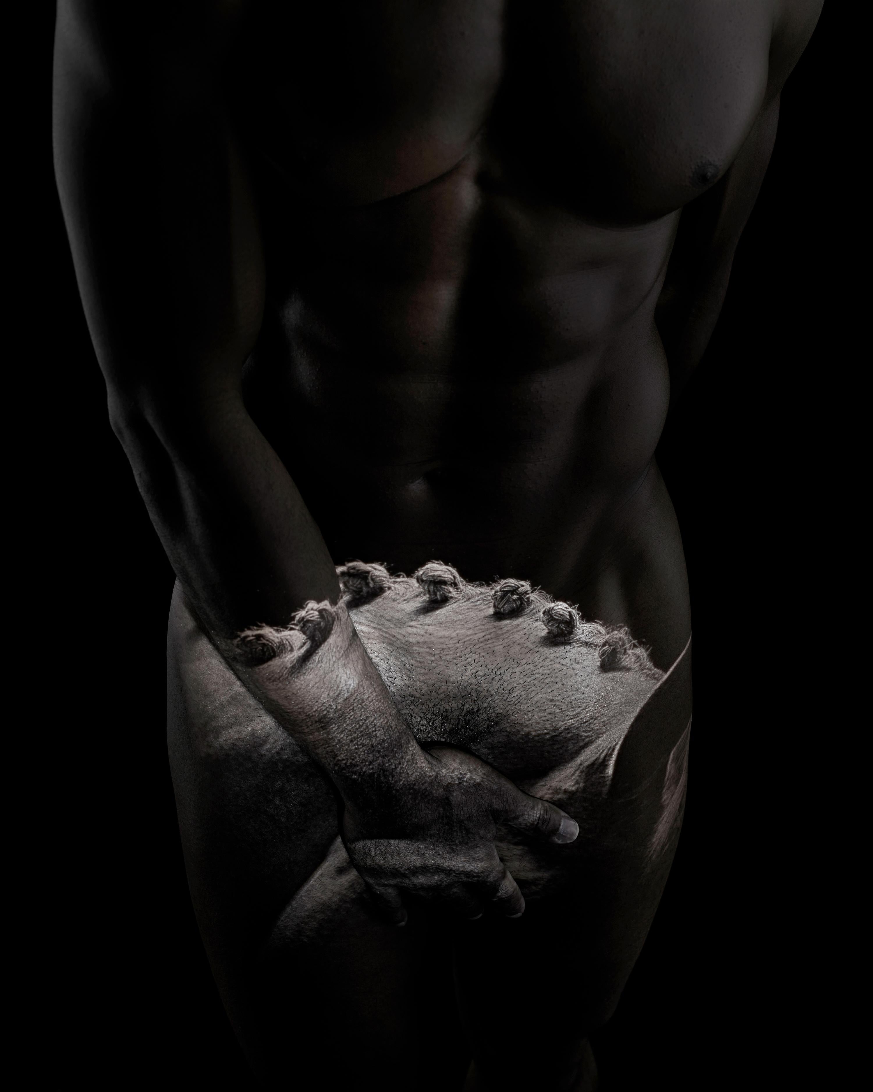 "WH52" Photographie 60 x 50 pouces Edition 1/10 par Giuliano Bekor