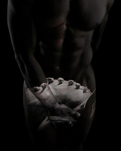 "WH52" Fotografia 60" x 50" pollici Edizione 1/10 di Giuliano Bekor
