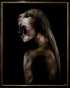 "Wild Cats WC16" Photography 50" x 40" in Edition 1/10 by Giuliano Bekor