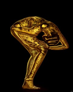 "Wild Cats WC21A" Photography 50" x 40" in Edition 1/10 by Giuliano Bekor