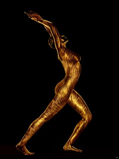 "Chats sauvages WC26" Photographie 50 x 40 en édition 1/10 par Giuliano Bekor