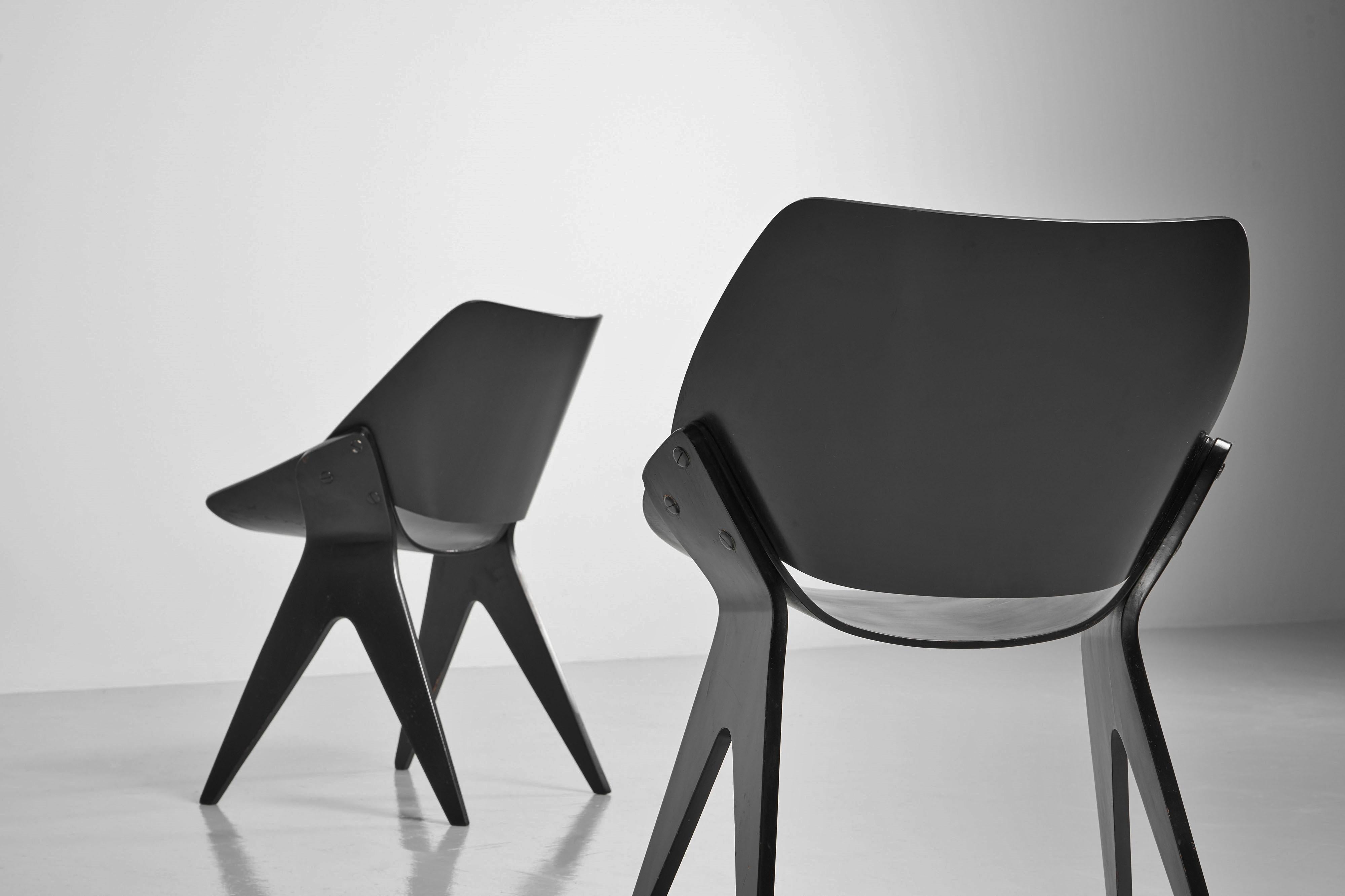 Mid-20th Century Gianni Moscatelli plywood dining chairs Italy 1955 For Sale