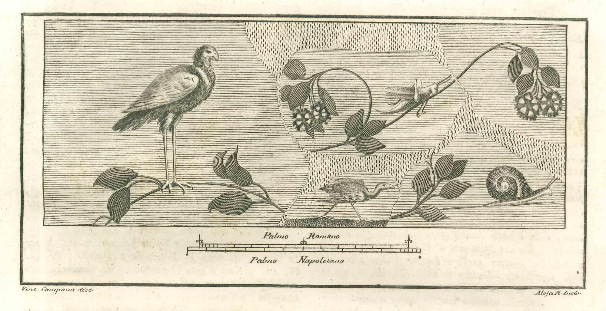 Birds Fresco from "Antiquities of Herculaneum" ist eine Radierung auf Papier von Giuseppe Aloja aus dem 18. Jahrhundert.

Signiert auf der Platte.

Gute Bedingungen.

Die Radierung gehört zu der Druckserie "Antiquities of Herculaneum Exposed"