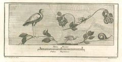 Antique Bird Fresco - Etching by Giuseppe Aloja - 18th Century