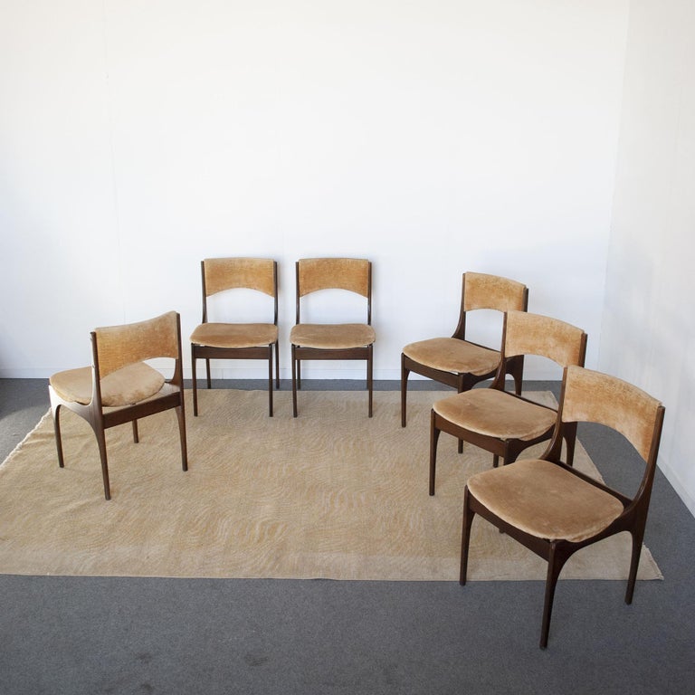 Mid-Century Modern Giuseppe Gibelli Italian Midcentury Chairs from 60's For Sale