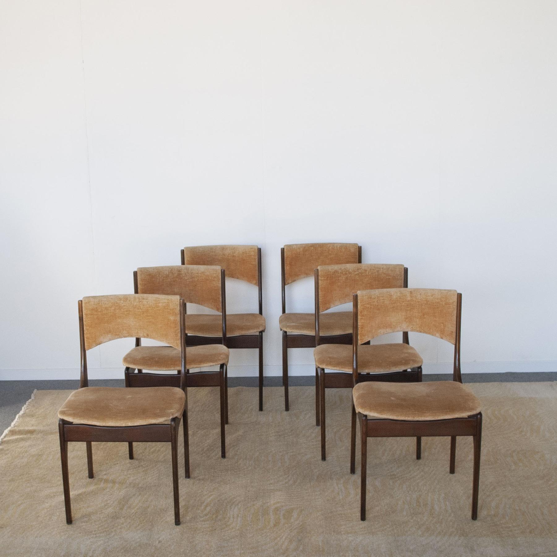 Giuseppe Gibelli Italian Midcentury Chairs from 60's In Good Condition In bari, IT