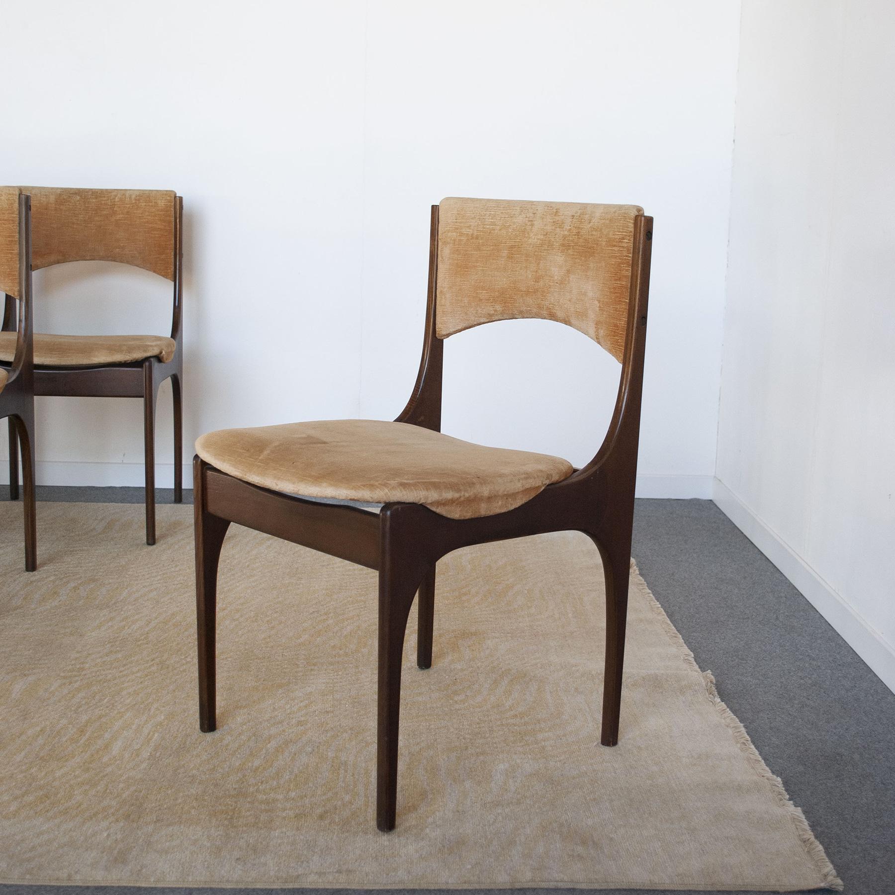 Velvet Giuseppe Gibelli Italian Midcentury Chairs from 60's