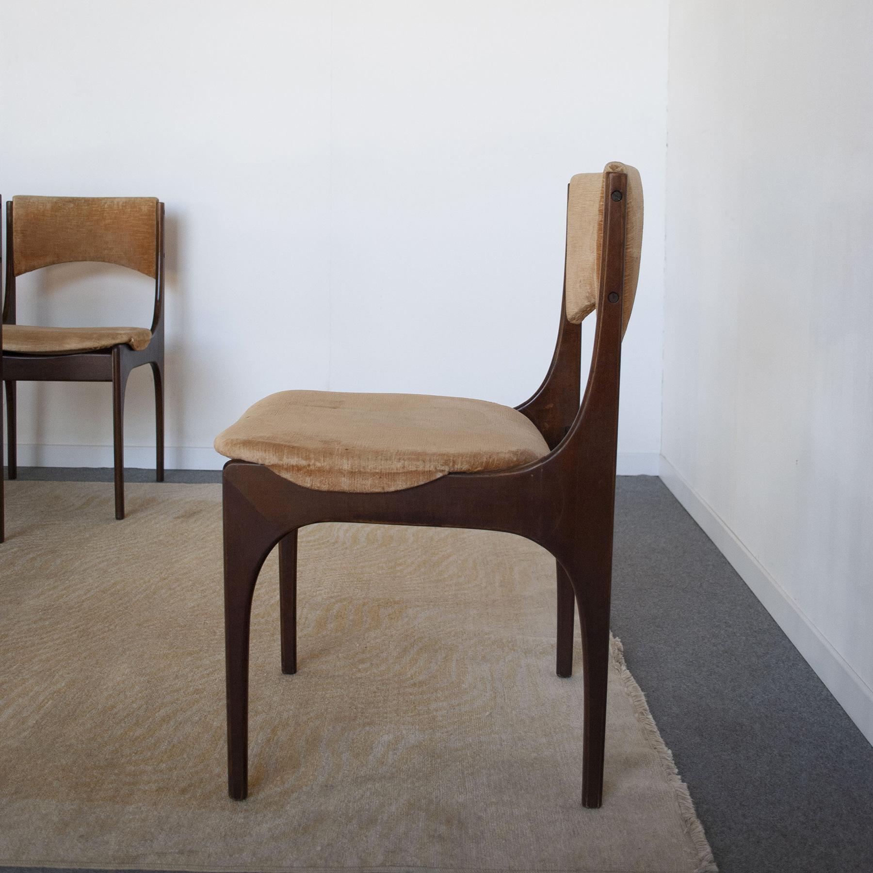 Giuseppe Gibelli Italian Midcentury Chairs from 60's 1