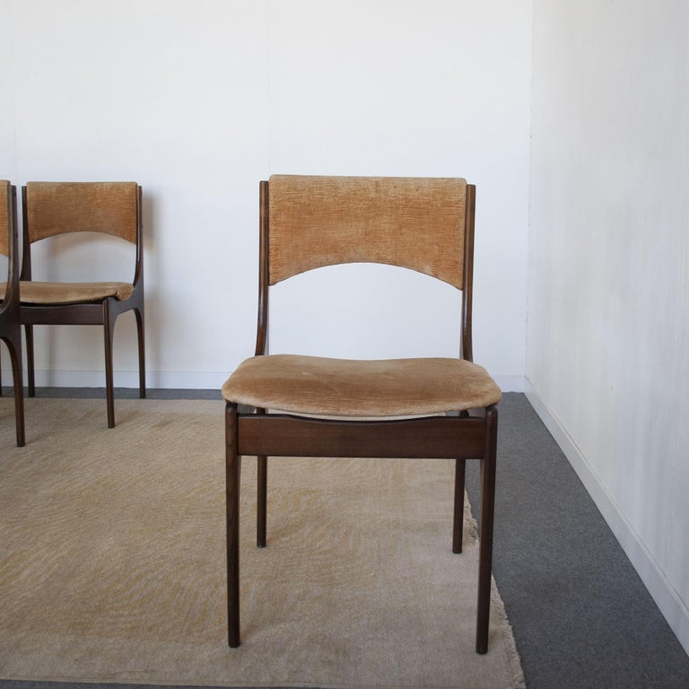 Giuseppe Gibelli Italian Midcentury Chairs from 60's For Sale 2