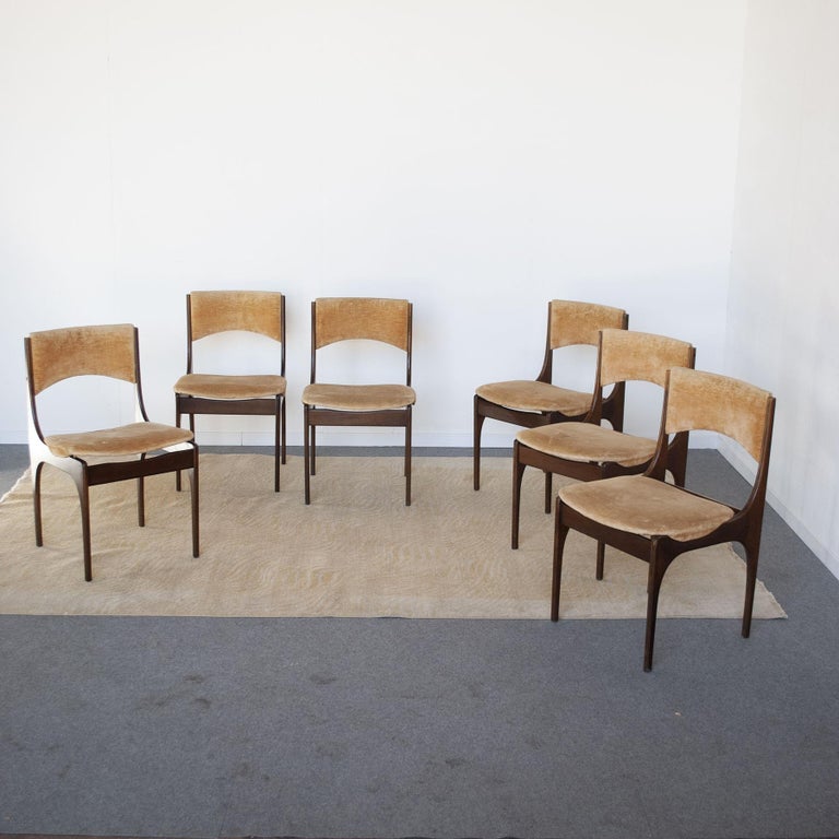 Giuseppe Gibelli Italian Midcentury Chairs from 60's For Sale 3
