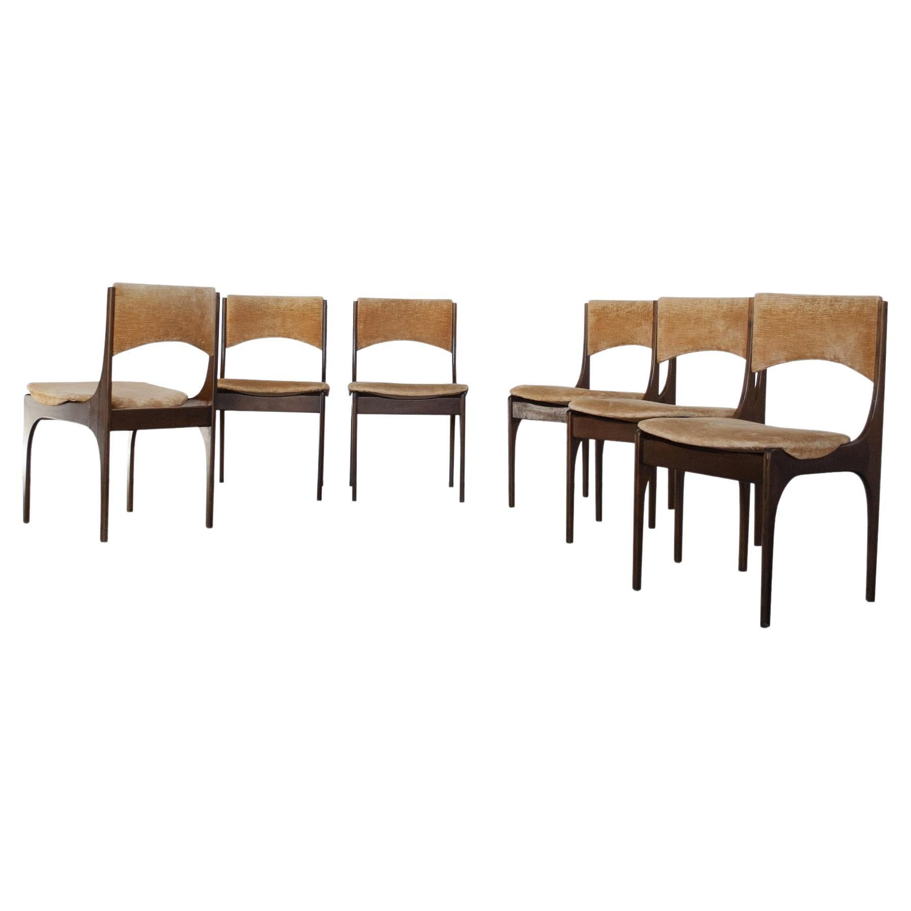 Giuseppe Gibelli Italian Midcentury Chairs from 60's