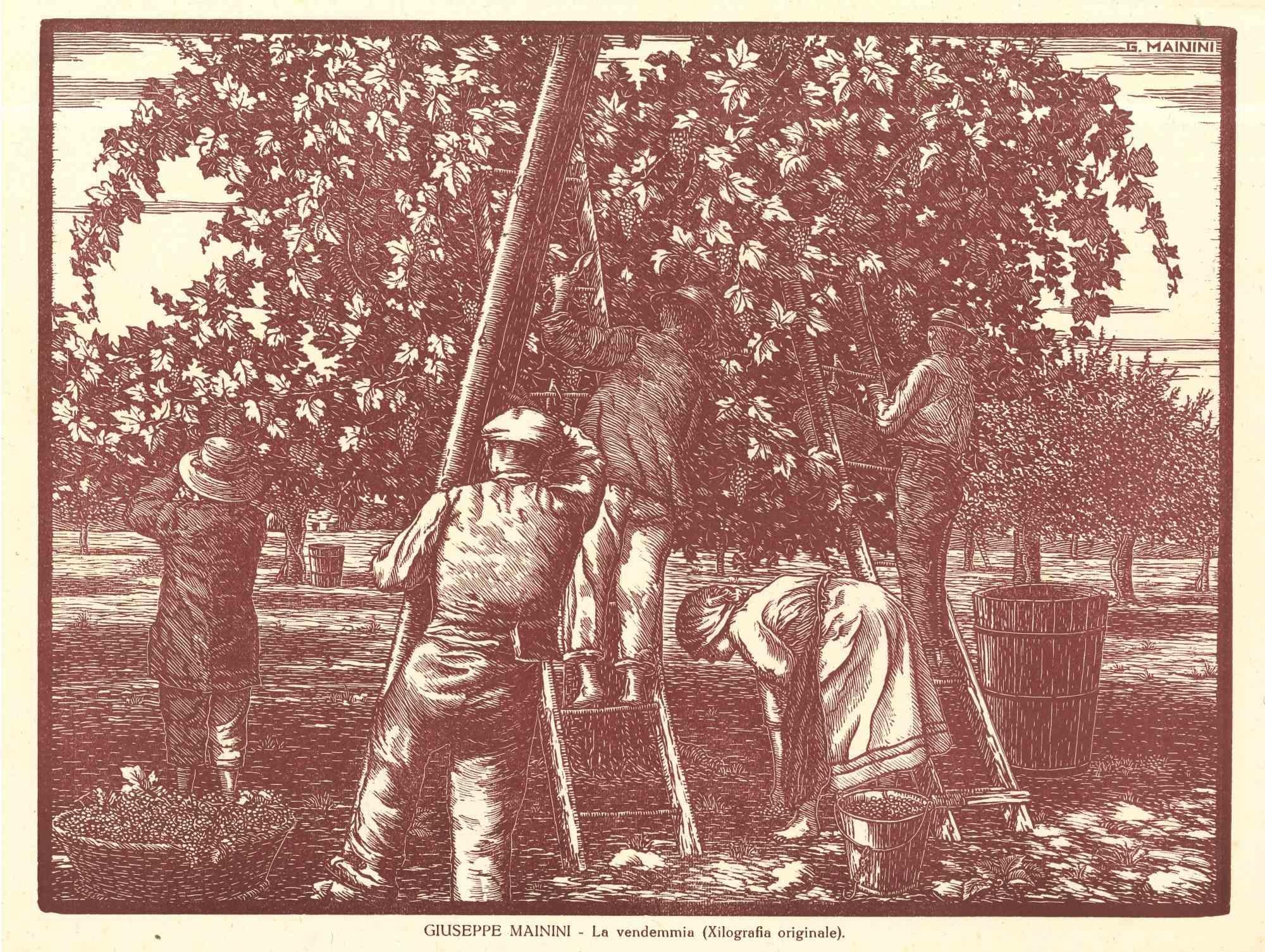 La Vendemmia is an original woodcut print by Giuseppe Mainini in the early 20th century.

The artwork depicts a harvest scene in garnet red colors.

Good conditions.
