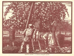 La Vendemmia - Xilografia originale di Giuseppe Mainini - Inizio XX secolo