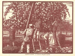 La Vendemmia - Original Woodcut by Giuseppe Mainini - Early 20th century