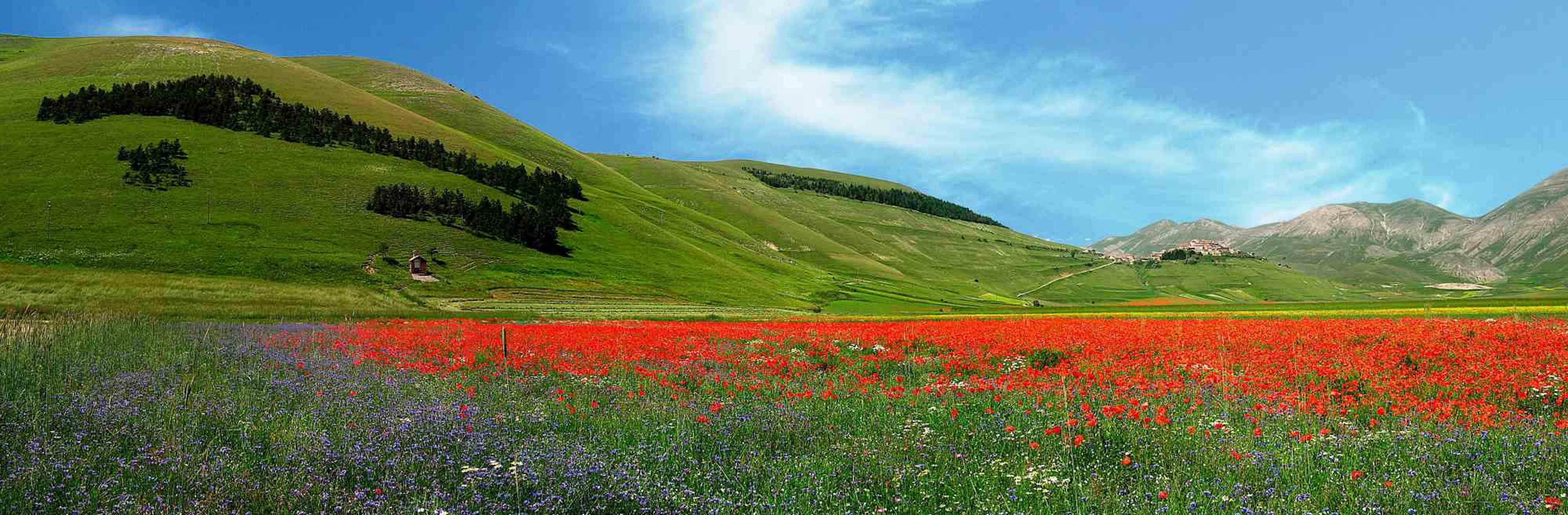 Dear Italy is one of the best photo on canvas realized by Giuseppe Marani in 2010.

Always passionate about landscapes and photography, the artist then devoted himself to landscaping. He greatly admires the beauty of the landscapes of Castelluccio