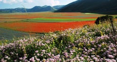 Garden of Italy -Photograph By Giuseppe Marani - 2010s