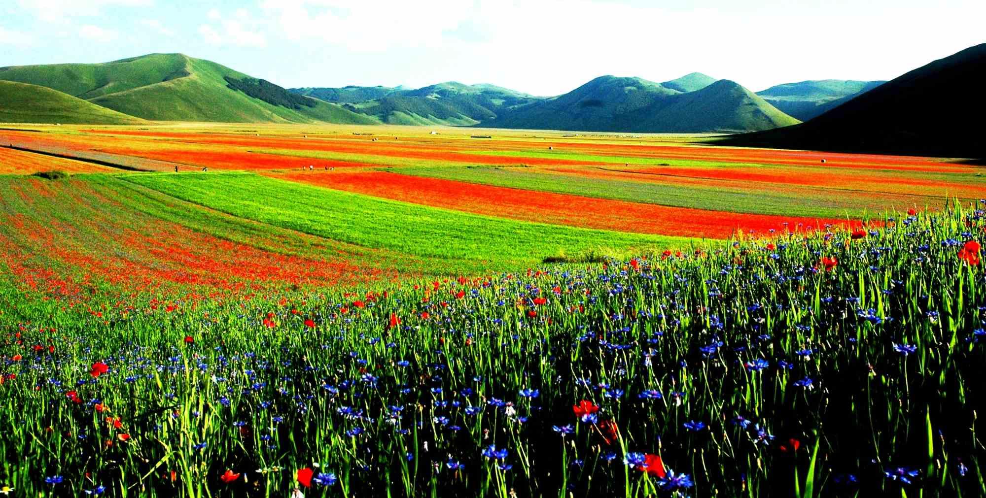 Skimming is one of the best photo on canvas realized by Giuseppe Marani in 2010.

Always passionate about landscapes and photography, the artist then devoted himself to landscaping. He greatly admires the beauty of the landscapes of Castelluccio di