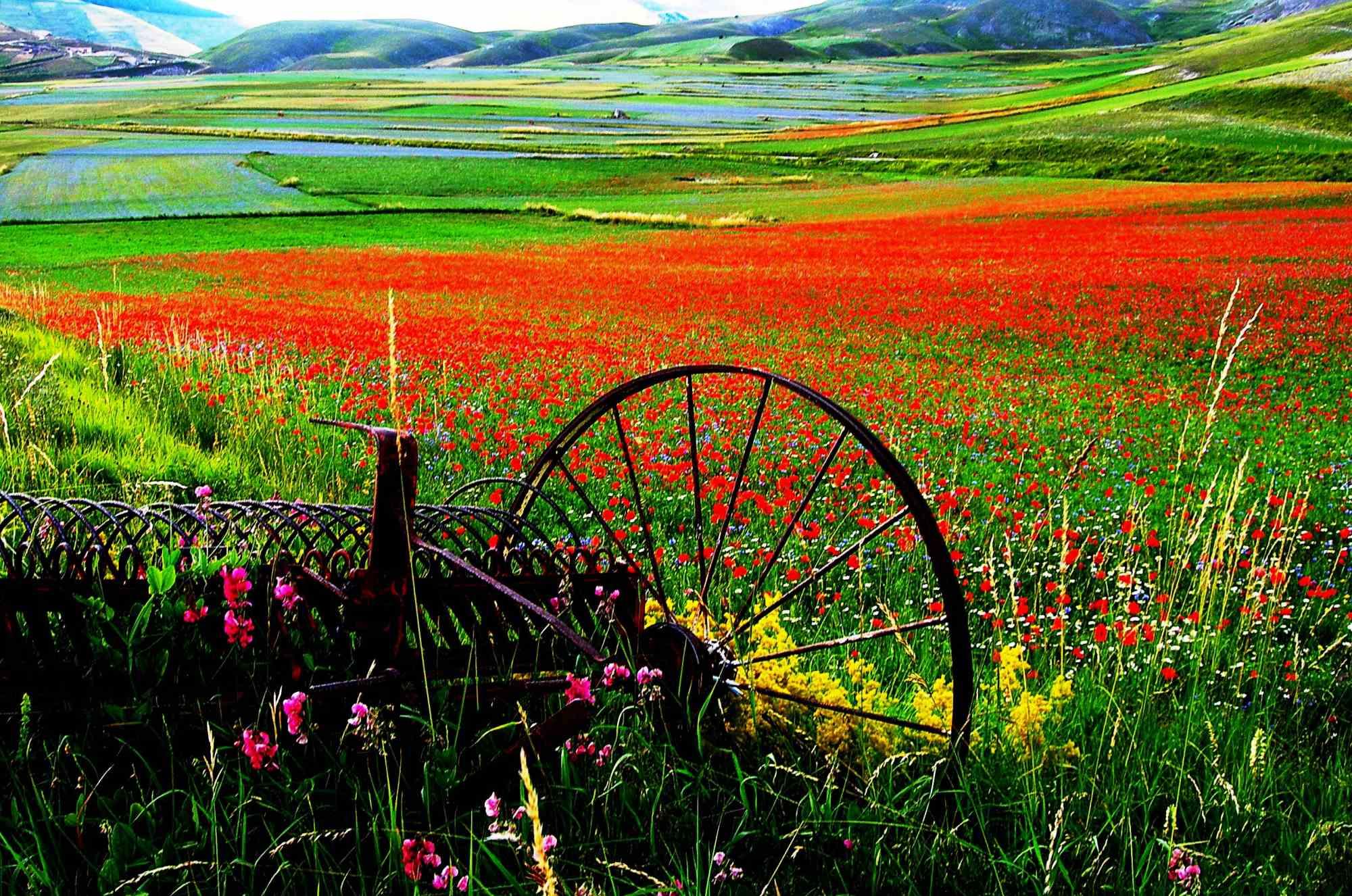 The old is one of the best photo on canvas realized by Giuseppe Marani in 2010.

Always passionate about landscapes and photography, the artist then devoted himself to landscaping. He greatly admires the beauty of the landscapes of Castelluccio di