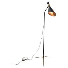 Giuseppe Ostuni Floor Lamp MID-Century Design Stilnovo Style 1950