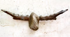 Longhorn 3 5/25