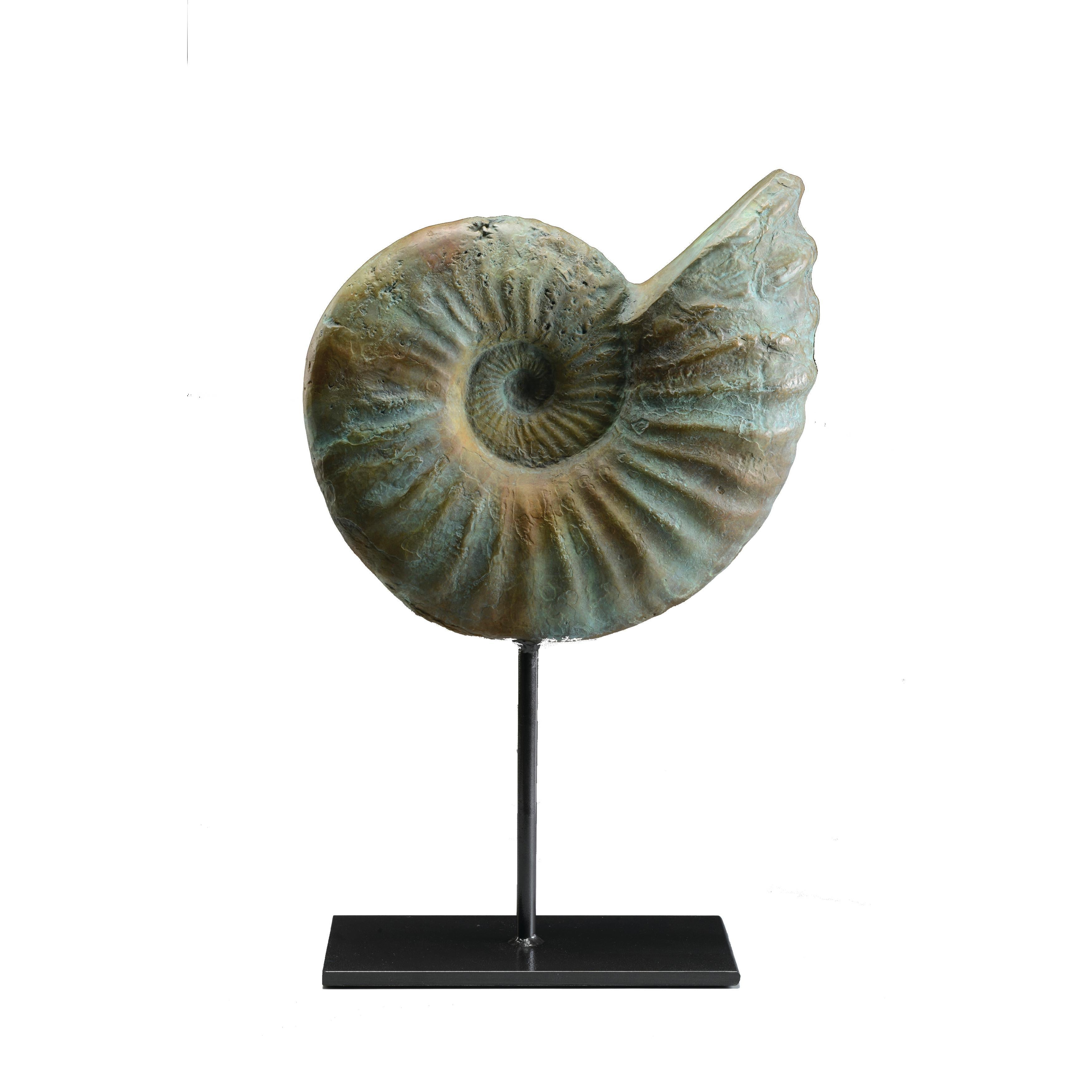 Nautilus 7/50 - Sculpture by Giuseppe Palumbo