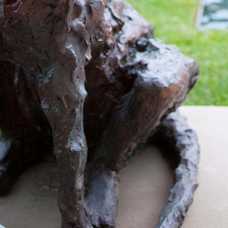 Bronze, Edition of 15. 

A textured, seated life-size cheetah in cast bronze. The nuanced mahogany patina accentuates the modeled, textured surface of the sculpture. The posture is tensed, while the big cat looks toward the horizon. 

Giuseppe