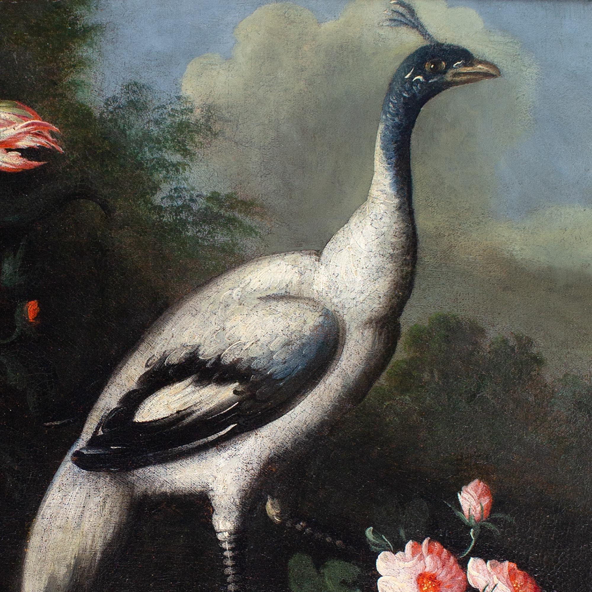 Giuseppe Pesci (Attributed), Still Life With Flowers, Vase & Peacock For Sale 5