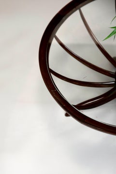 Giuseppe Scapinelli, Coffee table "Aranha", Wood and Glass. c. 1960