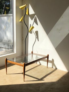 Giuseppe Scapinelli. Tavolino da caffè moderno di metà secolo in legno massiccio di Caviúna