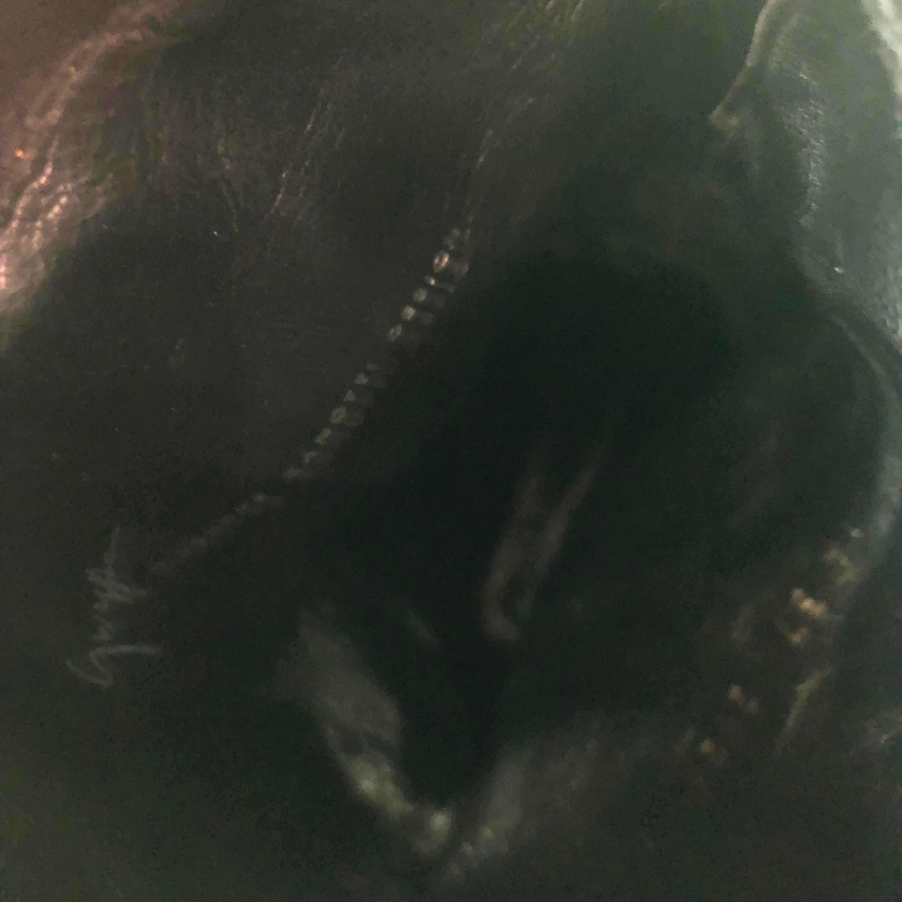 Giuseppe Zanotti Crystals Studded Pull On Western Cowgirl Heeled Boots 37.5 For Sale 5