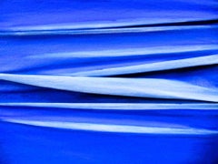 Sa Majesté le Bleu - Peinture de Giuseppe Zumbolo - 2023