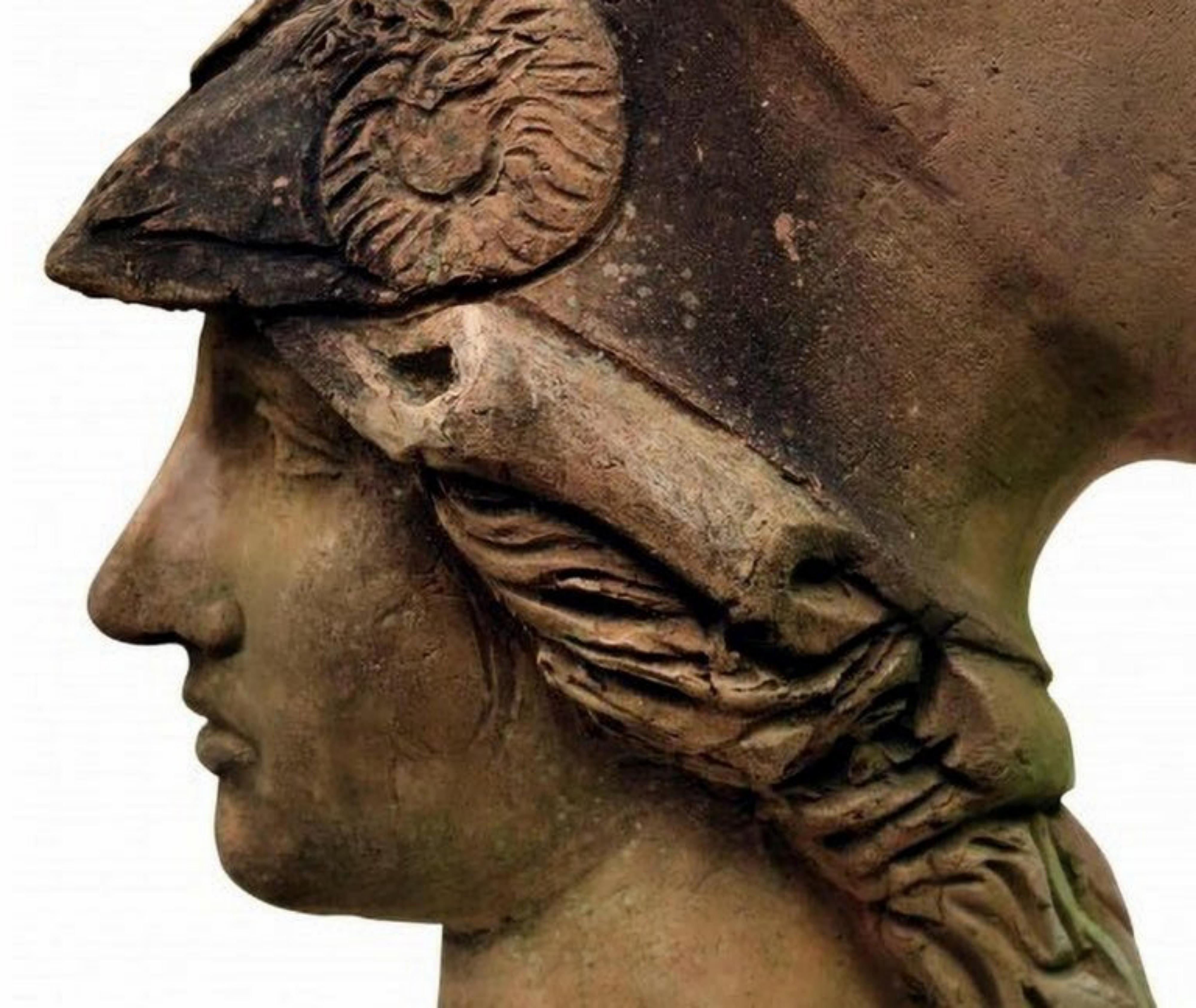 Baroque Giustiniani Athena Head in Patinated Terracotta, Early 20th Century For Sale