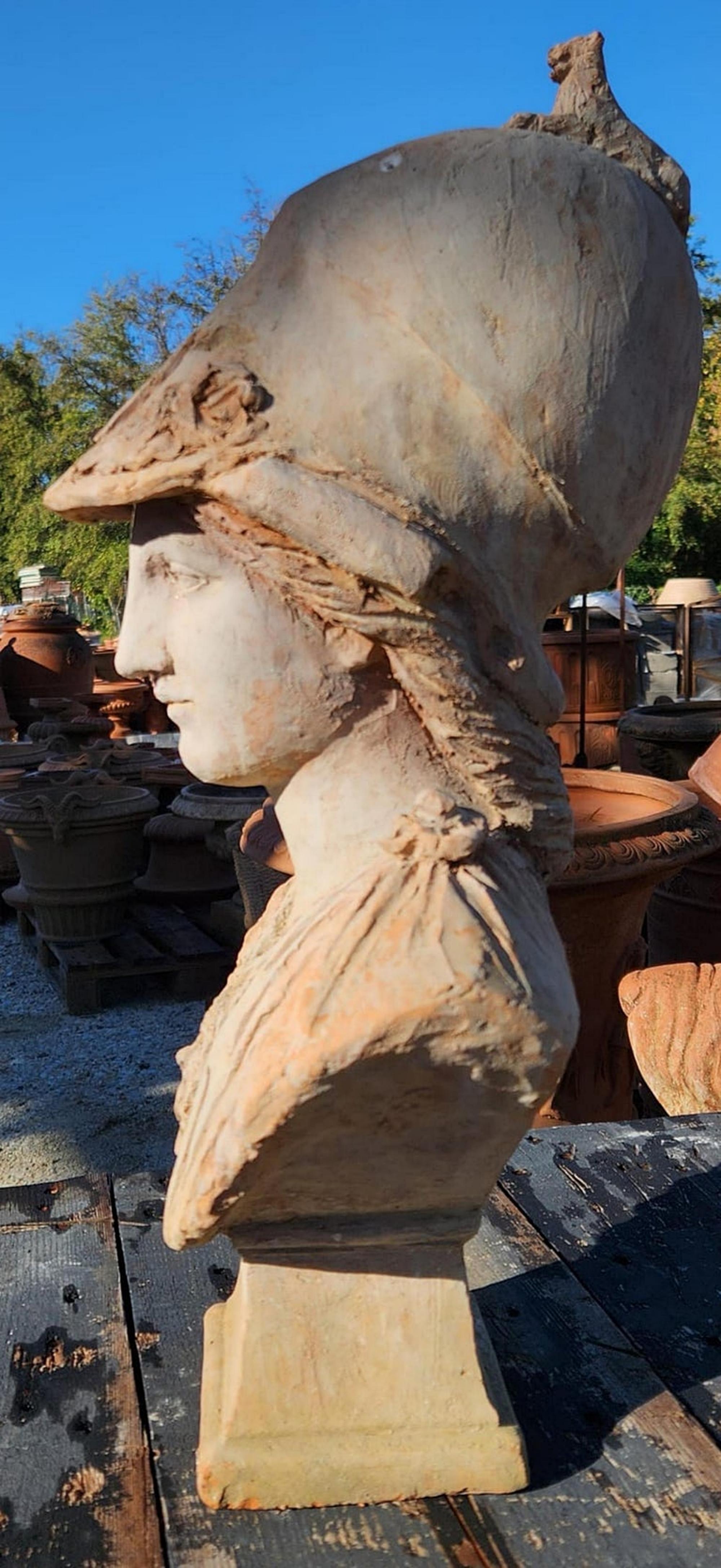 Hand-Crafted Giustiniani Athena Head in Patinated Terracotta Early 20th Century For Sale