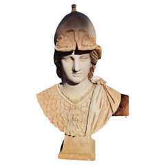 Antique Giustiniani Athena Head in Patinated Terracotta Early 20th Century