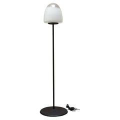Giusto Toso per Leucos Rara Lampada da Terra "EBE 34", Italia 1970s