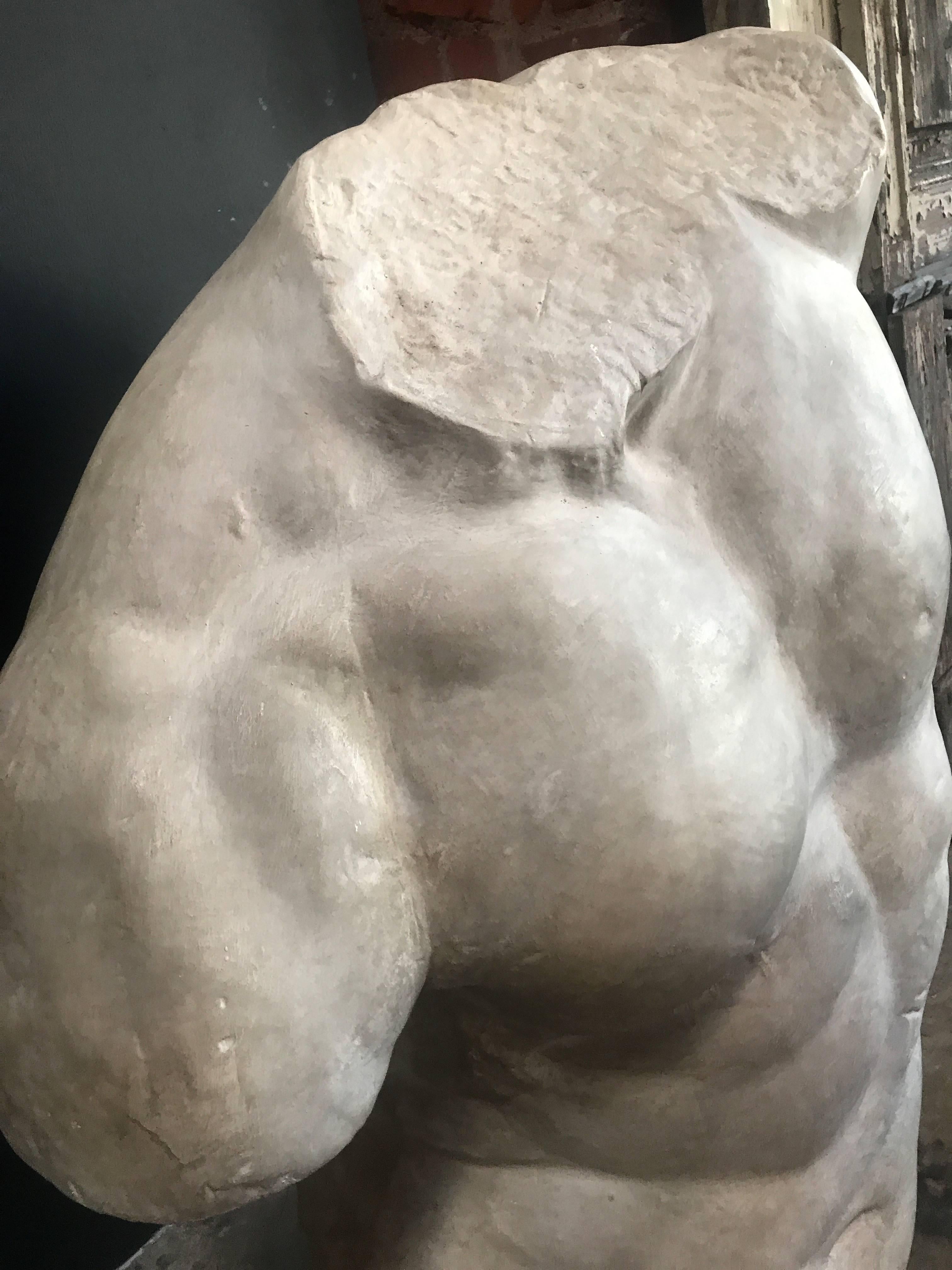 Gladiatore Borghese, Plaster Bust, Copy in Scale 1/1 2