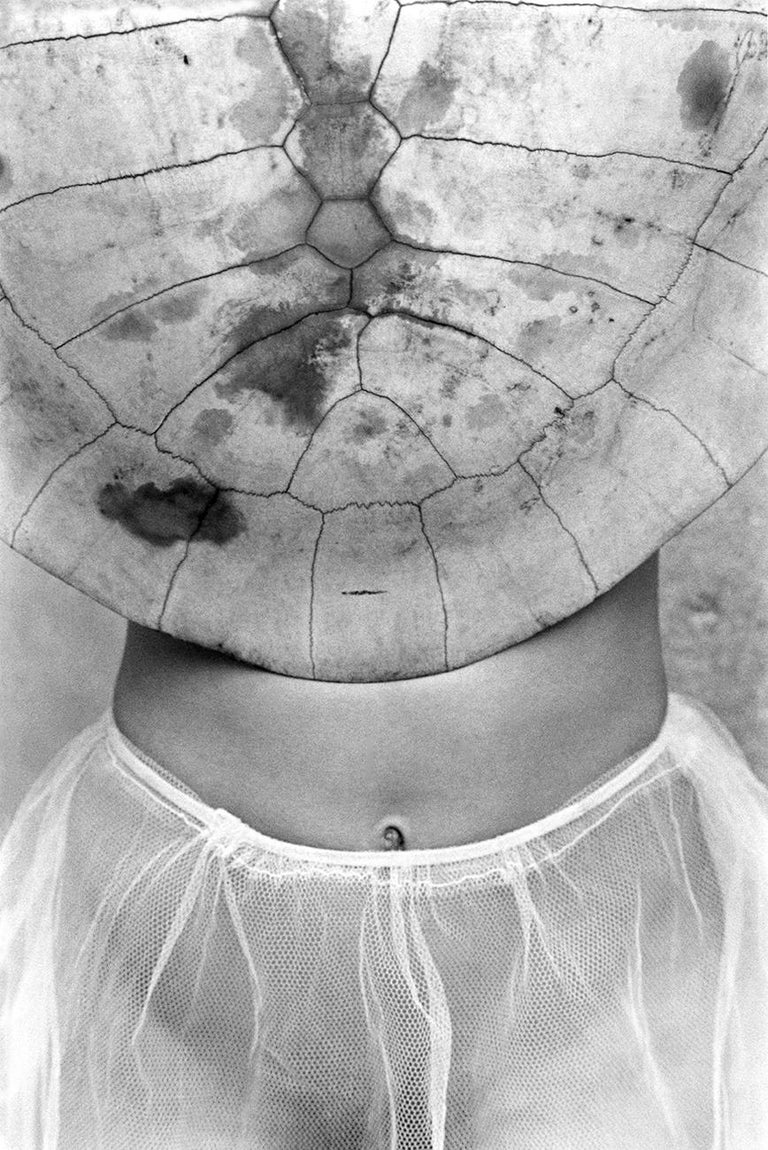 Gladys Ventre Tortue Paris 1986 For Sale At 1stdibs