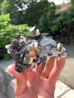 Glamming Golden Color Intergrown Pyrite Crystals On Matrix From Pakistan