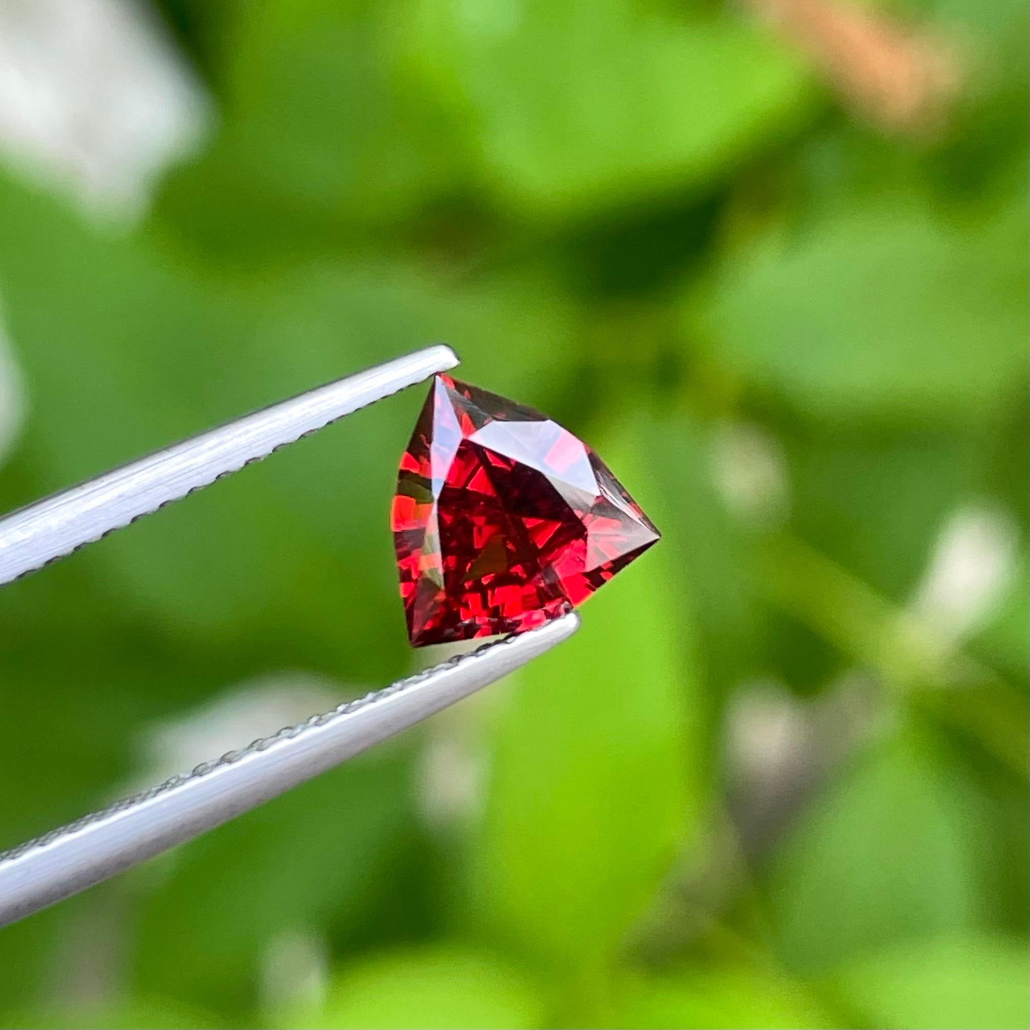 Weight 1.20 carats 
Dimensions 7.4 x 7.3 x 3.6 mm
Treatment None 
Origin Tanzania 
Clarity VVS (Very, Very Slightly Included)
Shape Triangular 
Cut Trilliant 



Discover the fiery allure of this Natural Trillion Shape Red Garnet, weighing a