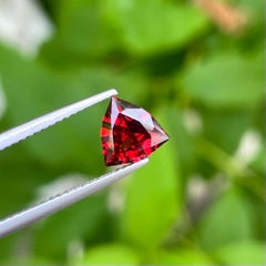 Glamming Trillion Shape Red Garnet 1.20 carats Natural Loose Tanzanian Gemstone