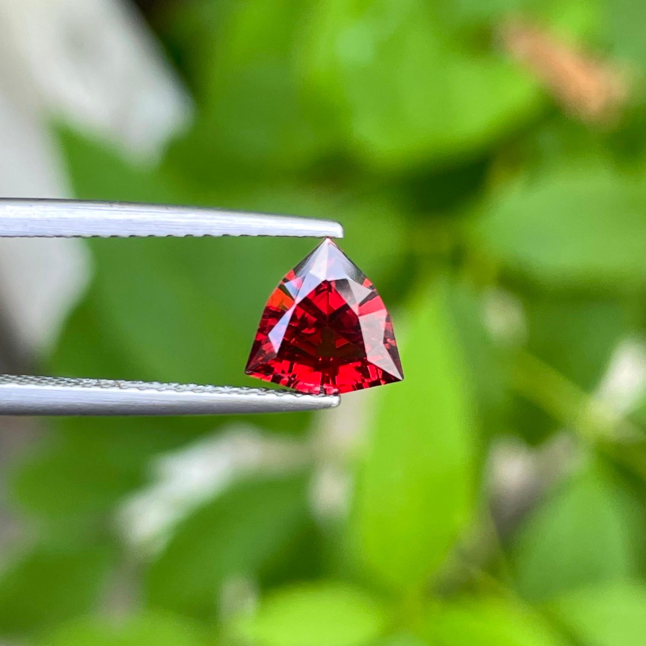 Moderne Grenat rouge en forme de trillion de 1,20 carat, pierre précieuse naturelle non sertie de Tanzanie en vente