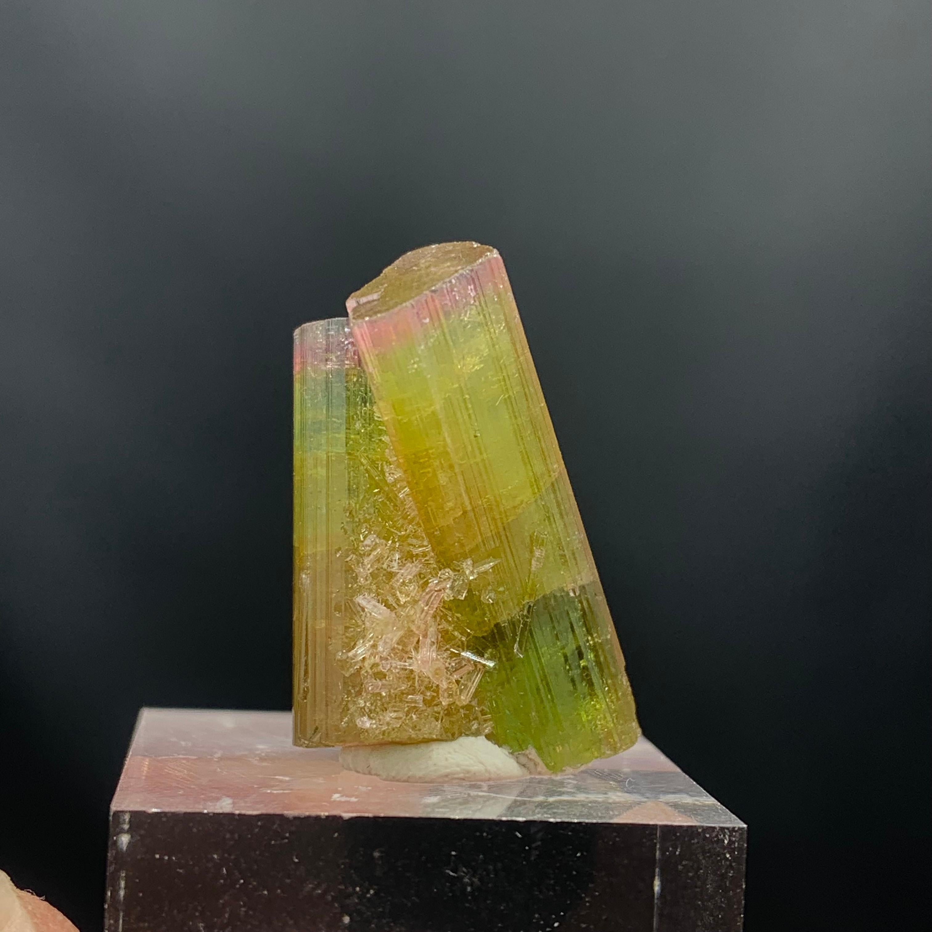 Glamorous 46.05 Carat Tri Color Combined Tourmaline Specimen from Afghanistan  For Sale 4