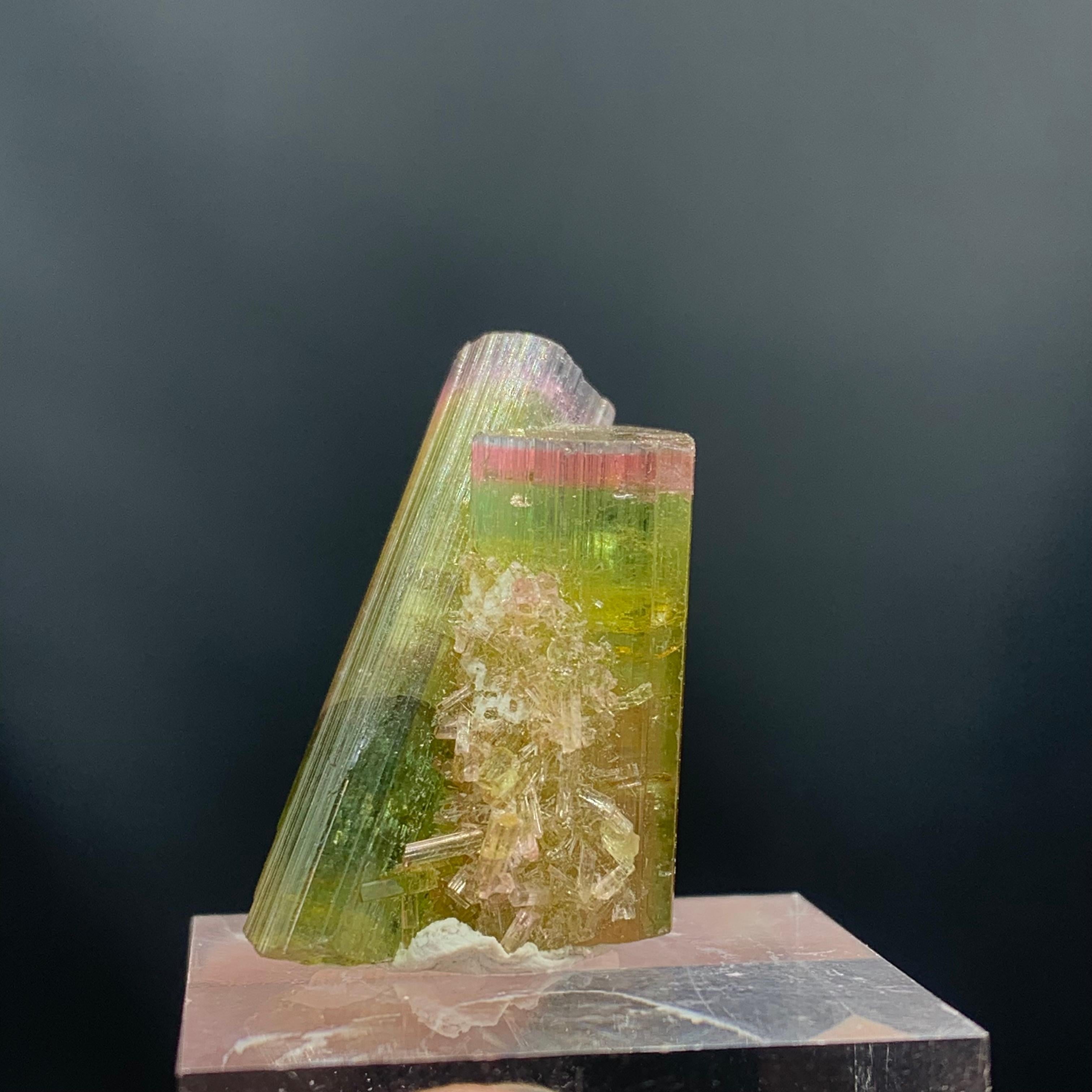 Glamorous Tri Color Combined Tourmaline Specimen From Afghanistan
WEIGHT: 46.05 Carat
DIMENSIONS : 3.0 x 1.8 x 1.3 Cm
ORIGIN: Afghanistan
TREATMENT: None
Tourmaline is an extremely popular gemstone; the name Tourmaline is derived from Turamali,