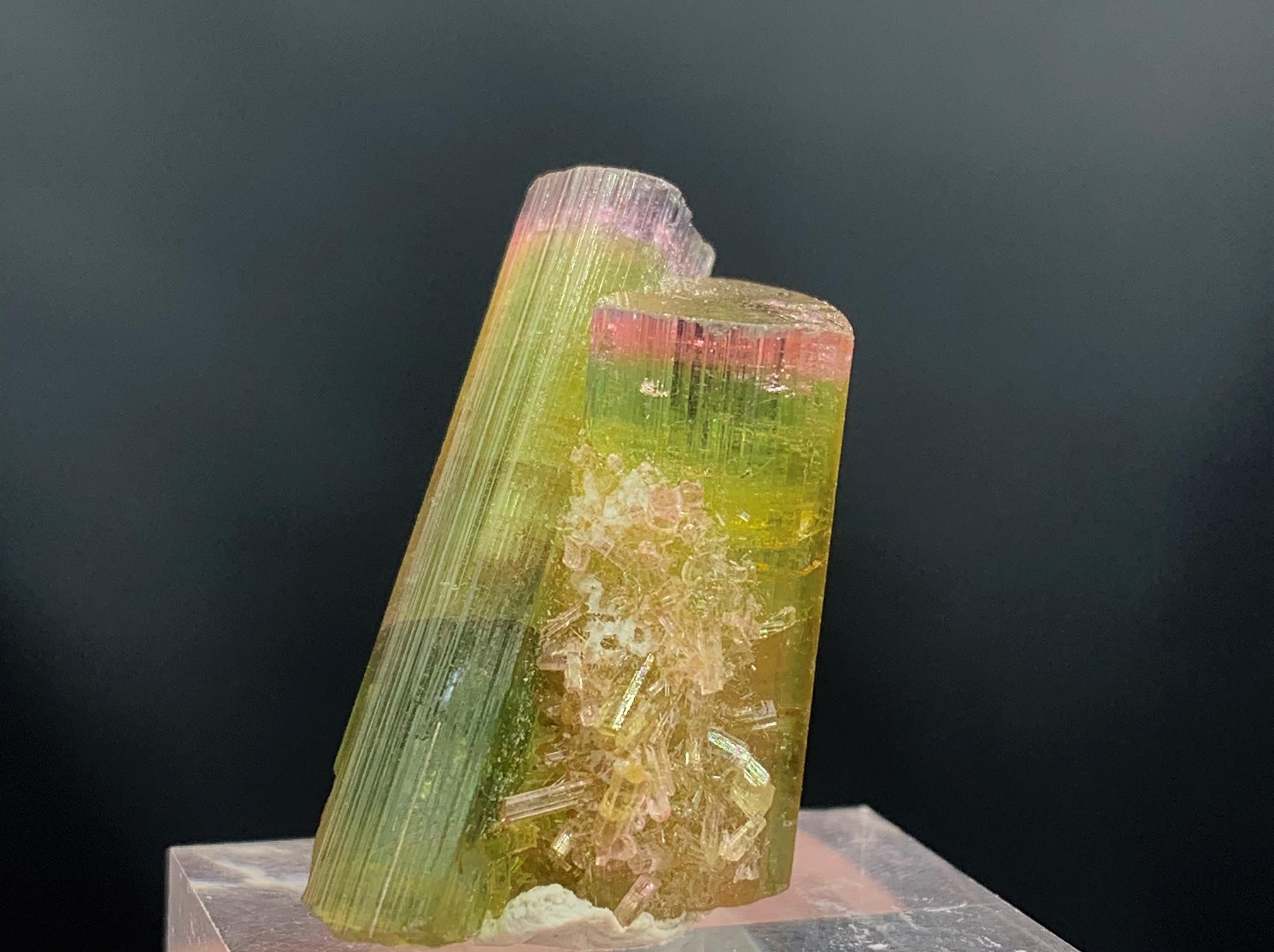 Other Glamorous 46.05 Carat Tri Color Combined Tourmaline Specimen from Afghanistan  For Sale